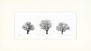 Trio of Trees