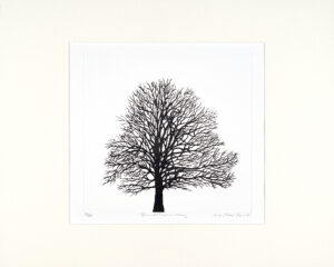 Blackthorn Tree