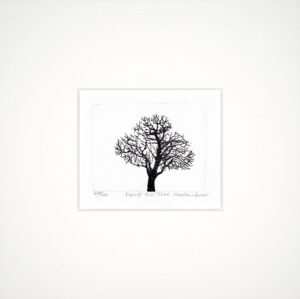 Forest Hill Tree