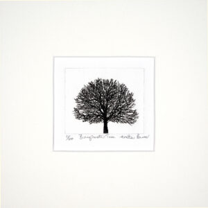 Bayswater Tree