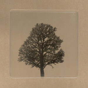 Waterperry - Black
