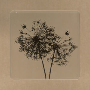 Dandelion Clocks - Black
