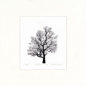 Wrekin Tree